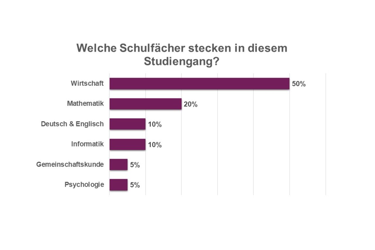 Infografik: Ein Balkendiagramm zeigt die Anteile verschiedener Schulfächer in einem Studiengang. Wirtschaft hat 50%, Mathematik 20%, Deutsch & Englisch 10%, Informatik 10%, Gemeinschaftskunde 5% und Psychologie 5%. Der Titel lautet: "Welche Schulfächer stecken in diesem Studiengang?"