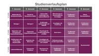 Infografik: Ein Studienverlaufsplan zeigt die Semesteraufteilung eines Studiengangs. Die Tabelle umfasst sechs Semester mit Kursen wie Mathematik, Biologie, Ernährungslehre und Praktika. Jedes Semester listet spezifische Module und deren ECTS-Punkte auf.
