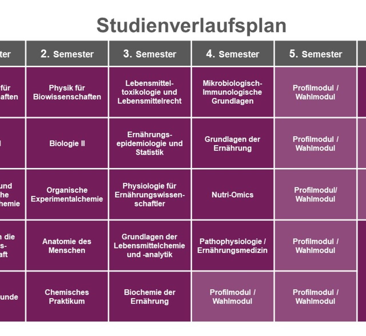 Infografik: Ein Studienverlaufsplan zeigt die Semesteraufteilung eines Studiengangs. Die Tabelle umfasst sechs Semester mit Kursen wie Mathematik, Biologie, Ernährungslehre und Praktika. Jedes Semester listet spezifische Module und deren ECTS-Punkte auf.