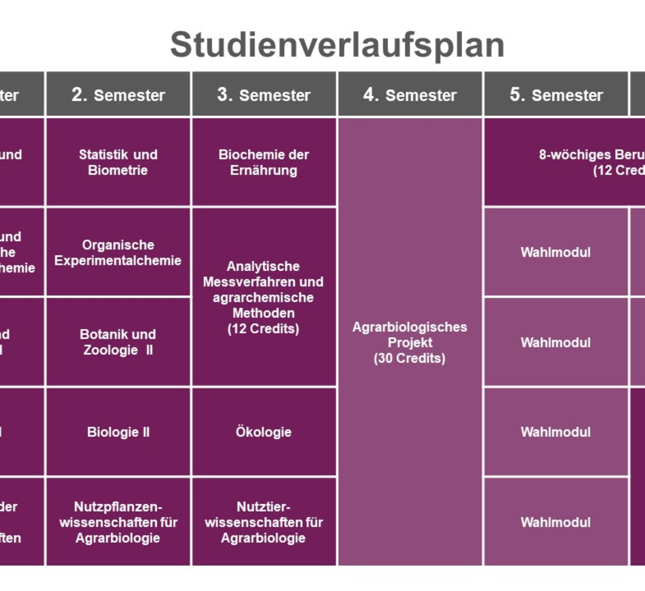 Infografik: Der Studienverlaufsplan zeigt Module und Credits für sechs Semester. Kurse umfassen Mathematik, Physik, Biochemie, Ökologie und Wahlmodule. Ein agrarbiologisches Projekt und ein 8-wöchiges Praktikum sind enthalten. Die Bachelorarbeit im 6. Semester hat 12 Credits.