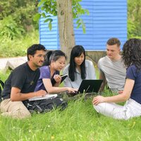Studierende sitzen unter einem Baum im Gras und schauen auf einen Laptop.