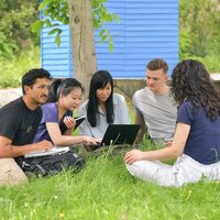 Studierende sitzen unter einem Baum im Gras und schauen auf einen Laptop.