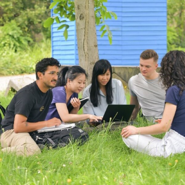 Studierende sitzen unter einem Baum im Gras und schauen auf einen Laptop.