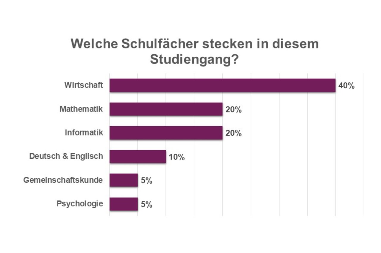 Übersichtgrafik mit allen Schulfächern, die im Studiengang Digital Business Management stecken