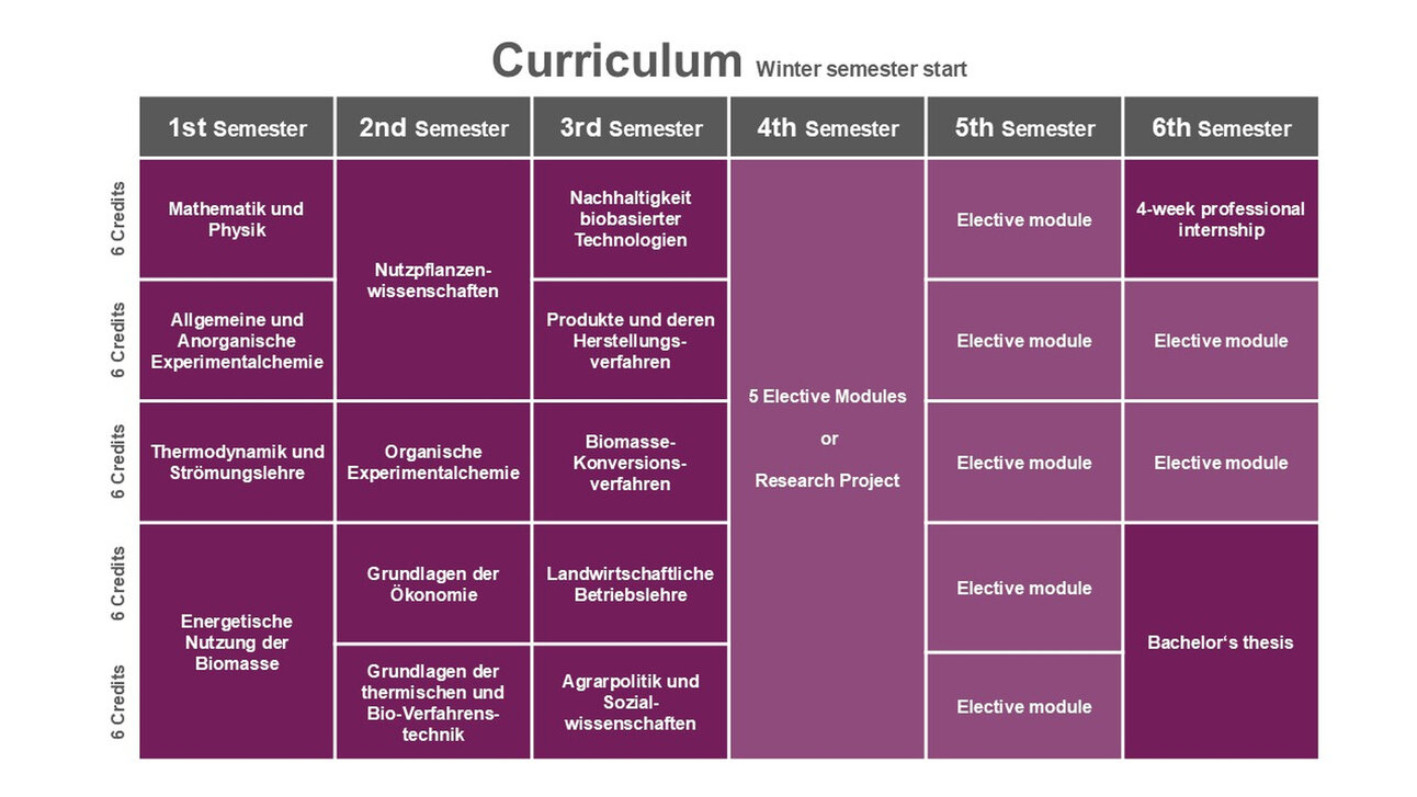 Infografik: Studienplan für ein Wintersemester mit Modulen über sechs Semester. Beinhaltet Mathematik, Physik, Chemie, Biotechnologie und Wahlmodule. Praktikum und Bachelorarbeit im letzten Semester.