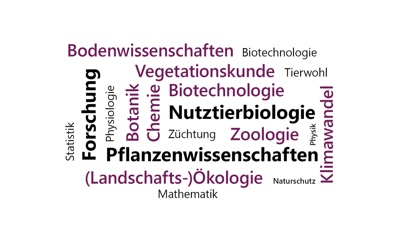 Infografik: Eine Wortwolke mit Begriffen wie "Vegetationskunde", "Klimawandel", "Züchtung", "Naturschutz", "Zoologie", "Biotechnologie", "Nutztierbiologie", "Bodenwissenschaften", "Pflanzenwissenschaften", "Botanik", "Chemie", "Mathematik", "Forschung", "Physik", "Physiologie", "Tierwohl".