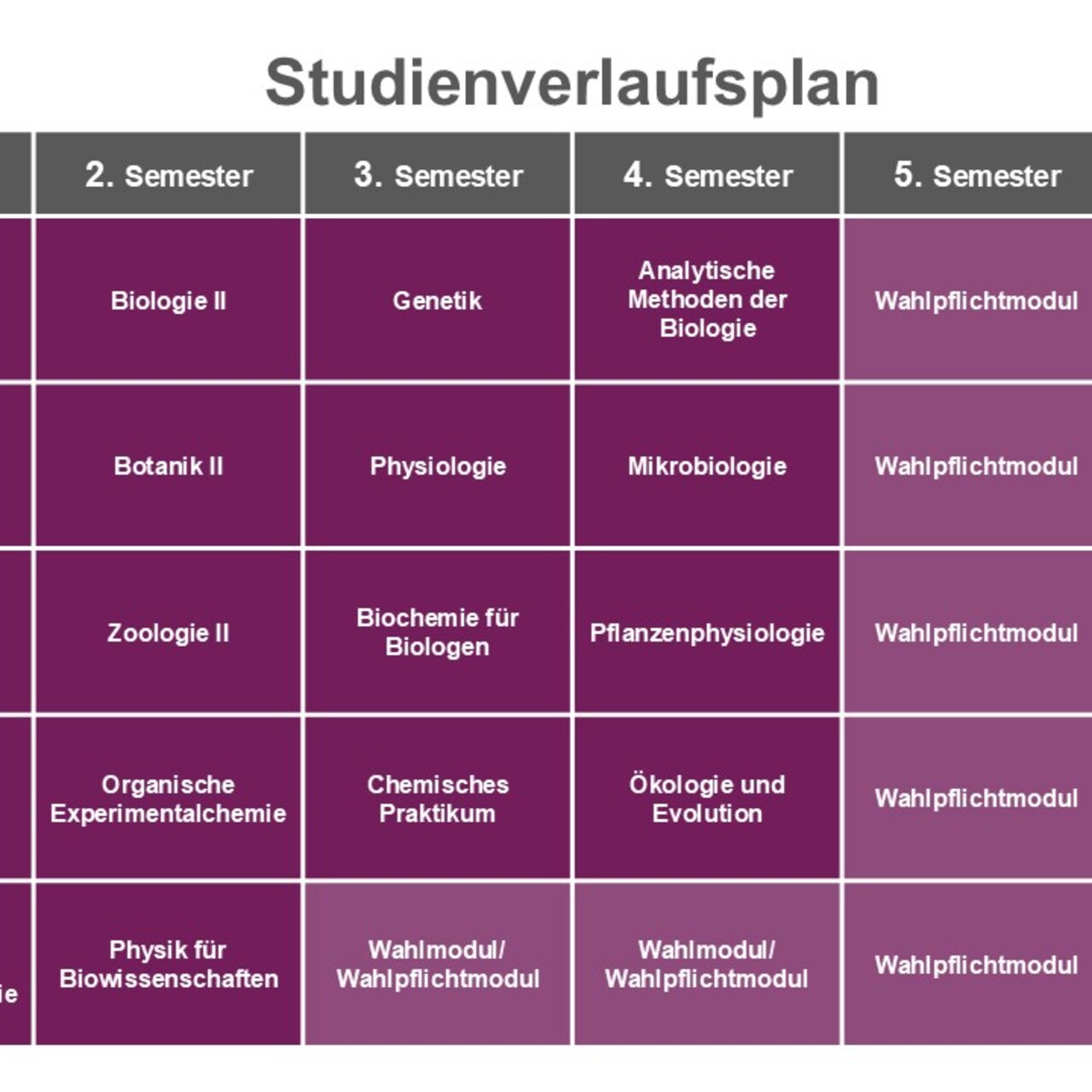 Infografik: Der Studienverlaufsplan zeigt Module für sechs Semester eines Biologiestudiums. Jedes Semester umfasst Kurse wie Biologie, Botanik, Zoologie und Chemie, jeweils mit 6 Credits. Der Plan endet mit einem Grundlagenmodul, einem berufsorientierenden Modul und der Bachelorarbeit im sechsten Semester.