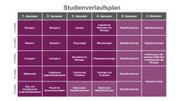Infografik: Der Studienverlaufsplan zeigt Module für sechs Semester eines Biologiestudiums. Jedes Semester umfasst Kurse wie Biologie, Botanik, Zoologie und Chemie, jeweils mit 6 Credits. Der Plan endet mit einem Grundlagenmodul, einem berufsorientierenden Modul und der Bachelorarbeit im sechsten Semester.