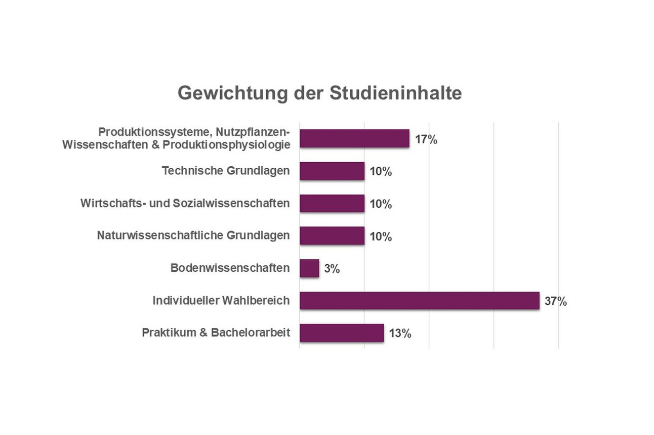 Infografik: Ein Balkendiagramm zeigt die Gewichtung der Studieninhalte. Produktionssysteme, Nutzpflanzenwissenschaften & Produktionsphysiologie 17%, Technische Grundlagen 10%, Wirtschafts- und Sozialwissenschaften 10%, Naturwissenschaftliche Grundlagen 10%, Bodenwissenschaften 3%, Individueller Wahlbereich 37%, Praktikum & Bachelorarbeit 13%.