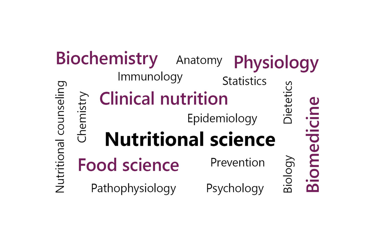 Infografik: Eine Wortwolke mit Begriffen wie Ernährungswissenschaft, Biochemie, Physiologie, klinische Ernährung, Lebensmittelwissenschaft, Biomedizin, Anatomie, Immunologie und Psychologie.
