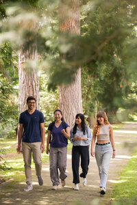 Foto: Vier Personen gehen auf einem gepflasterten Weg in einem Park, umgeben von hohen Bäumen und grüner Vegetation.
