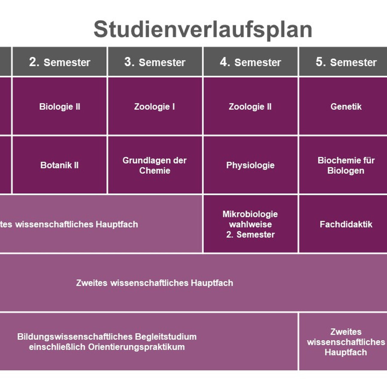 Infografik: Ein Studienverlaufsplan für ein Biologiestudium zeigt Kurse von Biologie I bis Pflanzenphysiologie über sechs Semester. Credits sind für jeden Kurs angegeben.