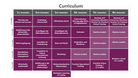 Infografik: Eine Tabelle zeigt den Studienplan über sechs Semester. Jedes Semester listet Kurse wie 'Theorien des Lehrens und Lernens', 'Öffentliches Recht' und 'Zivilrecht'. Credits sind für jeden Kurs angegeben, z.B. 6 Credits.