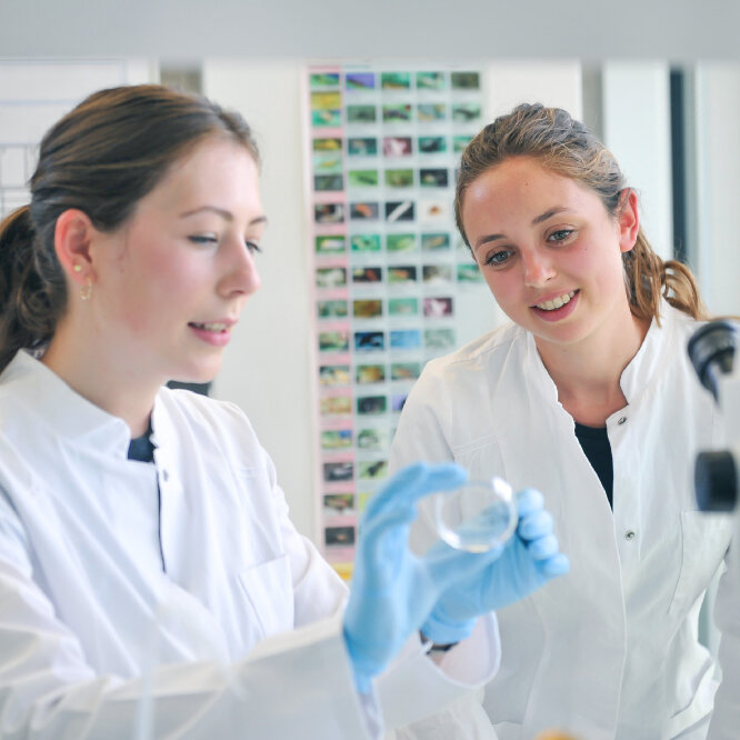 Agricultural Biology