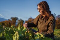 Foto: Eine Person in einem braunen Mantel sitzt auf einem Feld und untersucht große grüne Blätter. Im Hintergrund sind Bäume und ein klarer Himmel sichtbar.