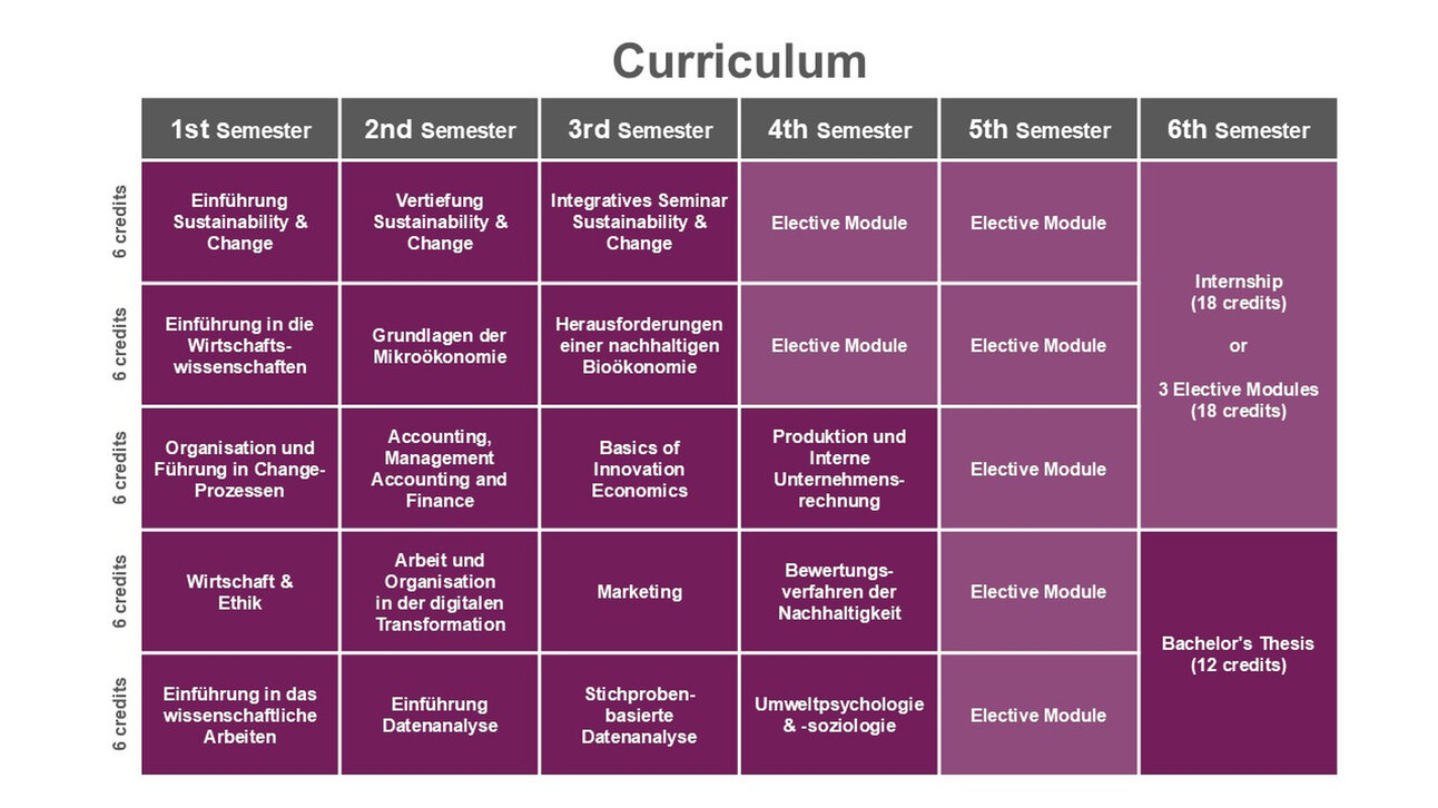 Infografik: Eine Tabelle zeigt den Studienplan für sechs Semester mit Modulen wie Einführung in die Wirtschaftswissenschaften, Mikroökonomie, und Wahlmodule. Jedes Semester hat Module mit 6 Credits. Das sechste Semester umfasst ein Praktikum oder Wahlmodule und eine Bachelorarbeit.