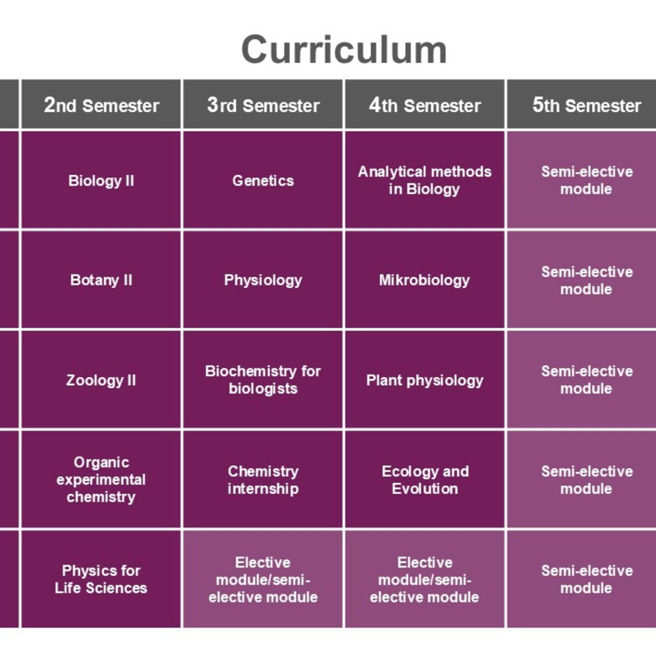Englischsprachige Infografik: Der Studienverlaufsplan zeigt Module für sechs Semester eines Biologiestudiums. Jedes Semester umfasst Kurse wie Biologie, Botanik, Zoologie und Chemie, jeweils mit 6 Credits. Der Plan endet mit einem Grundlagenmodul, einem berufsorientierenden Modul und der Bachelorarbeit im sechsten Semester.