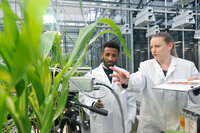 Foto: Zwei Personen in weißen Laborkitteln stehen in einem Gewächshaus und untersuchen Pflanzen. Eine Person hält ein Klemmbrett mit Farbskala, während die andere eine Messvorrichtung bedient. Im Hintergrund sind technische Geräte und Pflanzen sichtbar.