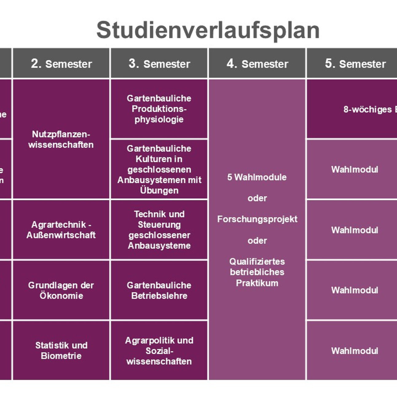Infografik: Studienverlaufsplan für sechs Semester in Agrarwissenschaften. Enthält Module wie Agrarische Produktionssysteme, Nutzpflanzenwissenschaften und Gartenbauliche Produktionsphysiologie. Wahlmodule und ein 8-wöchiges Berufspraktikum im fünften Semester.