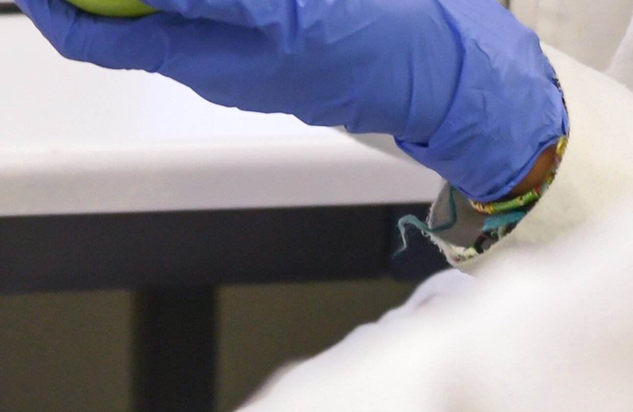 Foto: Eine Person in einem hellen T-Shirt jongliert mit einem roten und einem grünen Apfel vor einem neutralen Hintergrund. Die Arme sind seitlich ausgestreckt, während die Äpfel in der Luft schweben.