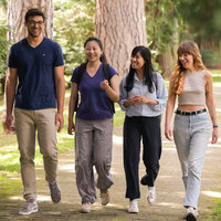 Foto: Vier Personen gehen auf einem gepflasterten Weg in einem Park, umgeben von hohen Bäumen und grüner Vegetation.