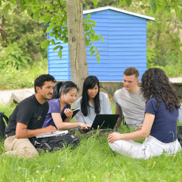 Studierende sitzen unter einem Baum im Gras und schauen auf einen Laptop.