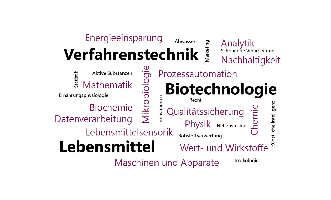 Infografik: Eine Wortwolke mit Begriffen wie "Verfahrenstechnik", "Biotechnologie", "Lebensmittel", "Mikrobiologie", "Qualitätssicherung", "Nachhaltigkeit", "Energieeinsparung", "Mathematik", "Biochemie", "Datenverarbeitung" und "Maschinen und Apparate".