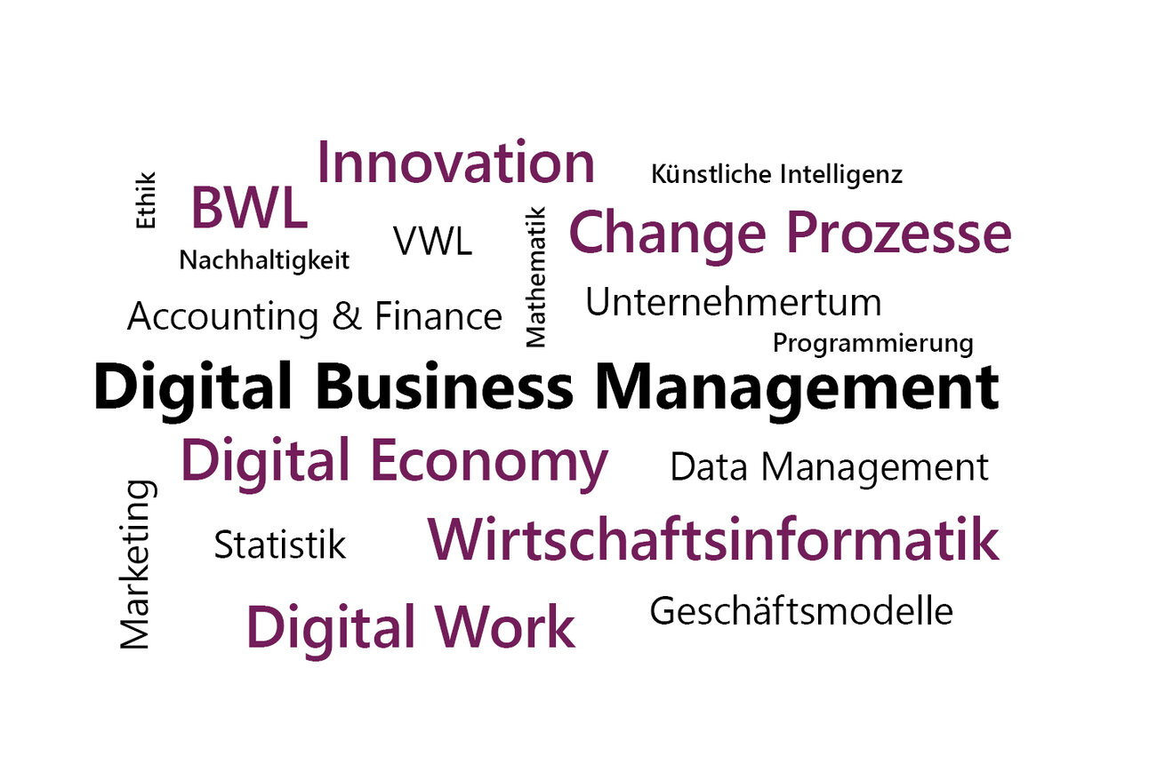 Infografik: Eine Wortwolke mit Begriffen wie "Digital Business Management", "Wirtschaftsinformatik", "Innovation", "Change Prozesse", "Digital Economy", "BWL", "VWL", "Künstliche Intelligenz", "Data Management", "Unternehmertum", "Nachhaltigkeit", "Statistik" und "Marketing".