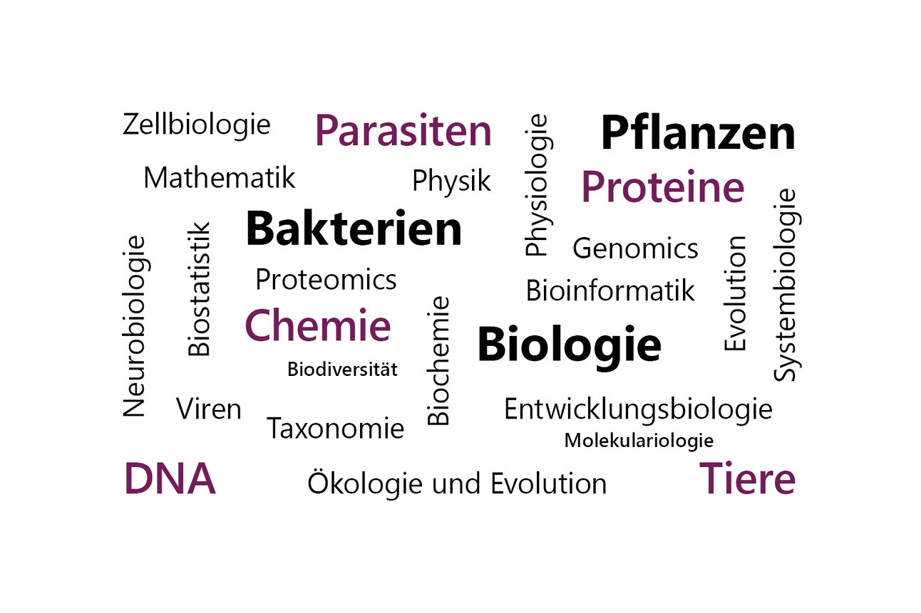 Infografik: Eine Wortwolke mit Begriffen aus der Biologie und Chemie. Wörter wie "Bakterien", "Pflanzen", "Proteine", "DNA", "Biologie", "Chemie", "Parasiten" und "Tiere" sind prominent. Weitere Begriffe umfassen "Zellbiologie", "Genomics", "Bioinformatik" und "Ökologie".