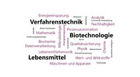 Infografik: Eine Wortwolke mit Begriffen wie "Verfahrenstechnik", "Biotechnologie", "Lebensmittel", "Mikrobiologie", "Qualitätssicherung", "Nachhaltigkeit", "Energieeinsparung", "Mathematik", "Biochemie", "Datenverarbeitung" und "Maschinen und Apparate".