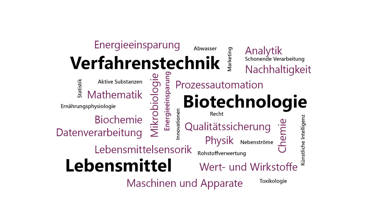 Infografik: Eine Wortwolke mit Begriffen wie "Verfahrenstechnik", "Biotechnologie", "Lebensmittel", "Mikrobiologie", "Qualitätssicherung", "Nachhaltigkeit", "Energieeinsparung", "Mathematik", "Biochemie", "Datenverarbeitung" und "Maschinen und Apparate".