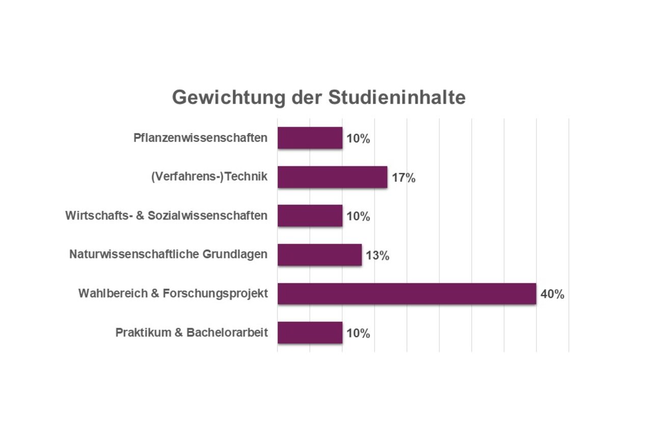Infografik: Ein Balkendiagramm zeigt die Gewichtung der Studieninhalte. Pflanzenwissenschaften 10%, (Verfahrens-)Technik 17%, Wirtschafts- & Sozialwissenschaften 10%, Naturwissenschaftliche Grundlagen 13%, Wahlbereich & Forschungsprojekt 40%, Praktikum & Bachelorarbeit 10%.