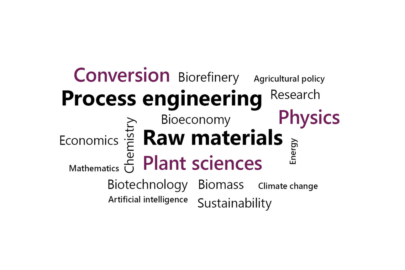 Infografik: Eine Wortwolke mit Begriffen wie Prozessingenieurwesen, Rohstoffe, Pflanzenwissenschaften, Physik, Biotechnologie, Nachhaltigkeit und mehr. Diese Begriffe beziehen sich auf wissenschaftliche und technologische Themen.