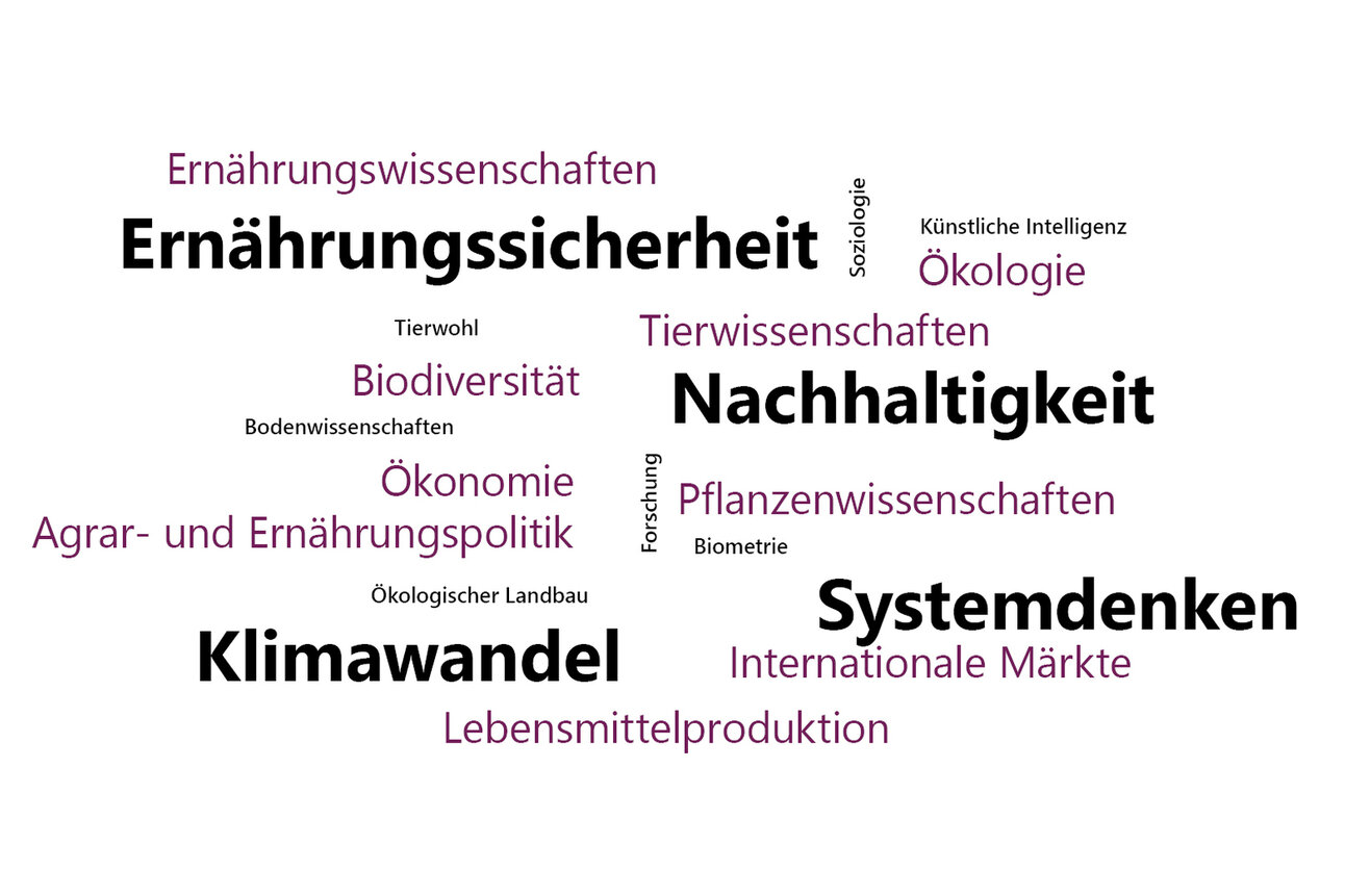 Infografik: Eine Wortwolke mit Begriffen wie Nachhaltigkeit, Ernährungssicherheit, Klimawandel, Systemdenken, Biodiversität, Pflanzenwissenschaften und Ökonomie. Die Begriffe sind in verschiedenen Schriftgrößen dargestellt.
