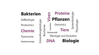 Infografik: Eine Wortwolke mit wissenschaftlichen Begriffen wie Bakterien, Proteine, Pflanzen, Tiere, Biologie, Zellbiologie, Chemie, Genomics, DNA, und mehr. Die Begriffe sind in verschiedenen Schriftgrößen und Farben dargestellt.