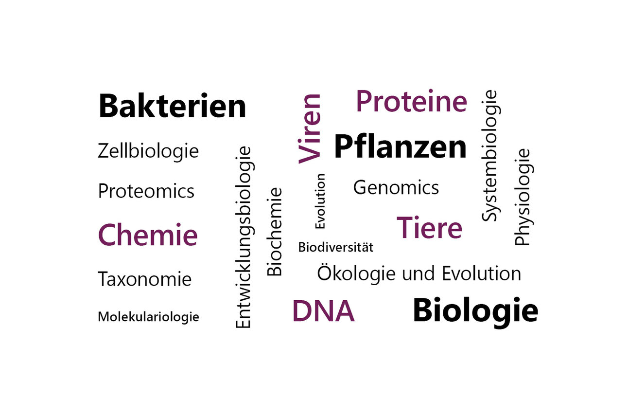 Infografik: Eine Wortwolke mit wissenschaftlichen Begriffen wie Bakterien, Proteine, Pflanzen, Tiere, Biologie, Zellbiologie, Chemie, Genomics, DNA, und mehr. Die Begriffe sind in verschiedenen Schriftgrößen und Farben dargestellt.