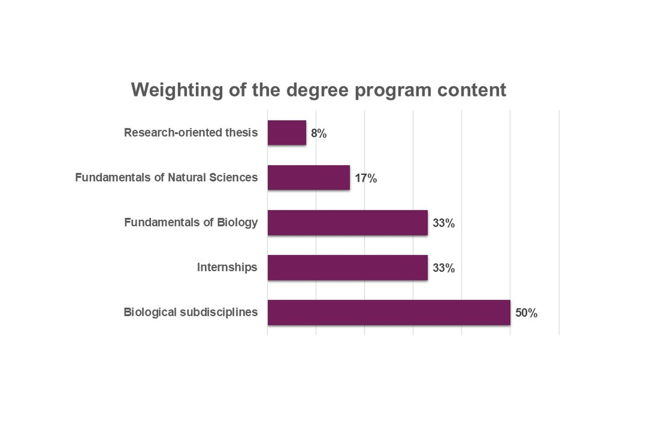 Infografik: Balkendiagramm zeigt die Gewichtung der Studieninhalte eines Programms. Forschungsorientierte Arbeit 8%, Naturwissenschaftliche Grundlagen 17%, Biologie-Grundlagen 33%, Praktika 33%, Biologische Teildisziplinen 50%.