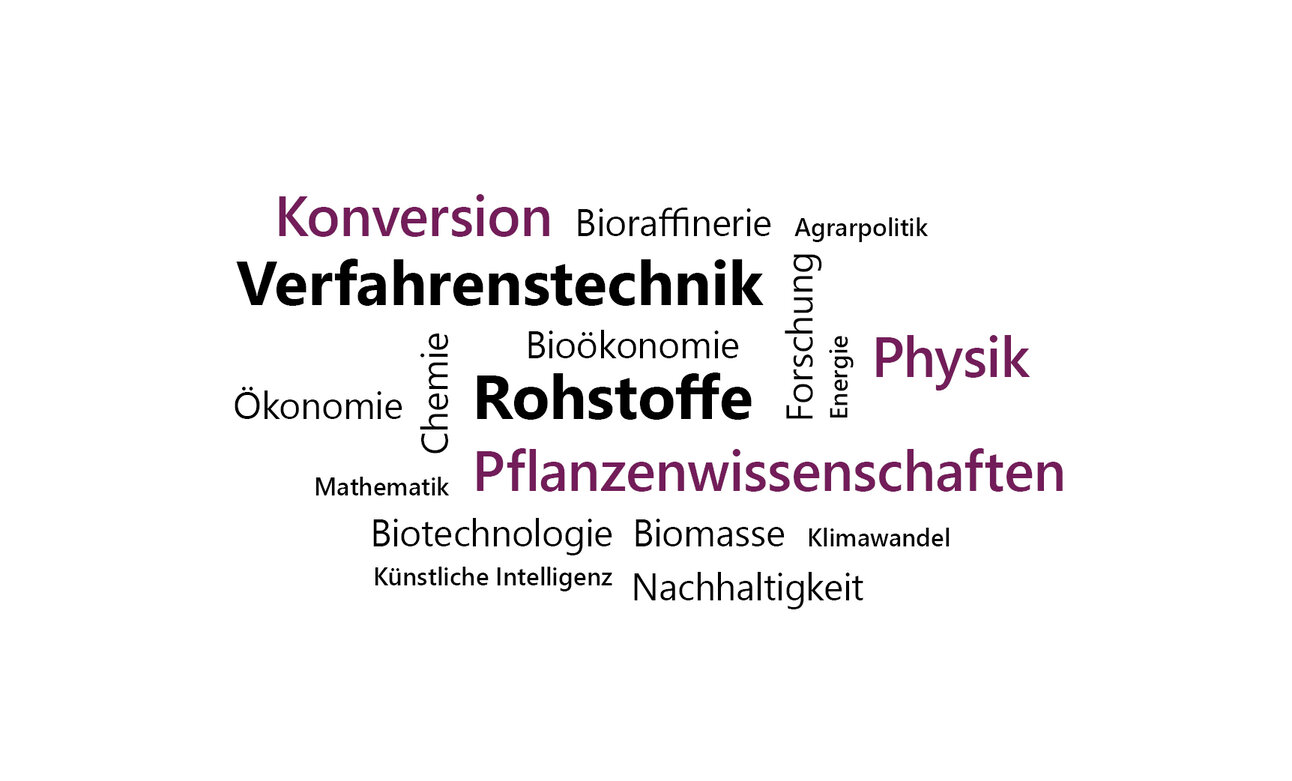 Infografik: Eine Wortwolke mit Begriffen wie "Verfahrenstechnik", "Rohstoffe", "Pflanzenwissenschaften", "Physik", "Biotechnologie", "Nachhaltigkeit" und "Künstliche Intelligenz". Diese Begriffe sind in verschiedenen Schriftgrößen und Farben dargestellt und thematisieren wissenschaftliche und technologische Konzepte.
