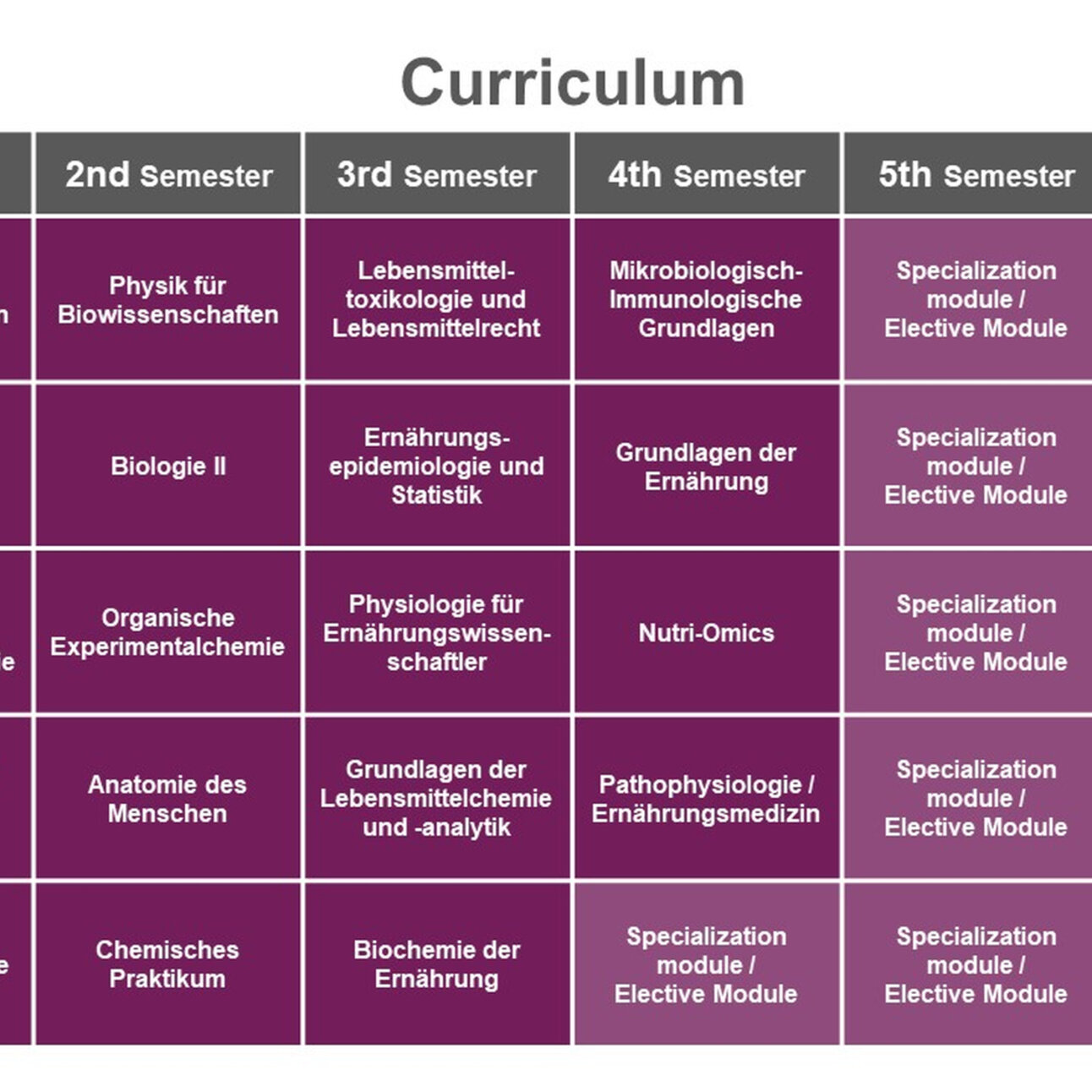 Infografik: Eine Tabelle zeigt das Curriculum für sechs Semester mit Modulen wie Mathematik für Biowissenschaften, Biologie, Lebensmittelkunde und Spezialisierungsmodulen. Jedes Semester hat Module mit 6 Credits.