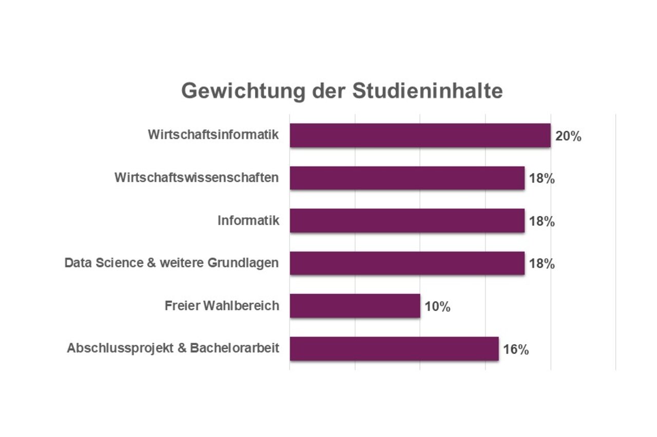 Infografik: Balkendiagramm zeigt die Gewichtung der Studieninhalte. Wirtschaftsinformatik 20%, Wirtschaftswissenschaften 18%, Informatik 18%, Data Science & weitere Grundlagen 18%, Freier Wahlbereich 10%, Abschlussprojekt & Bachelorarbeit 16%.