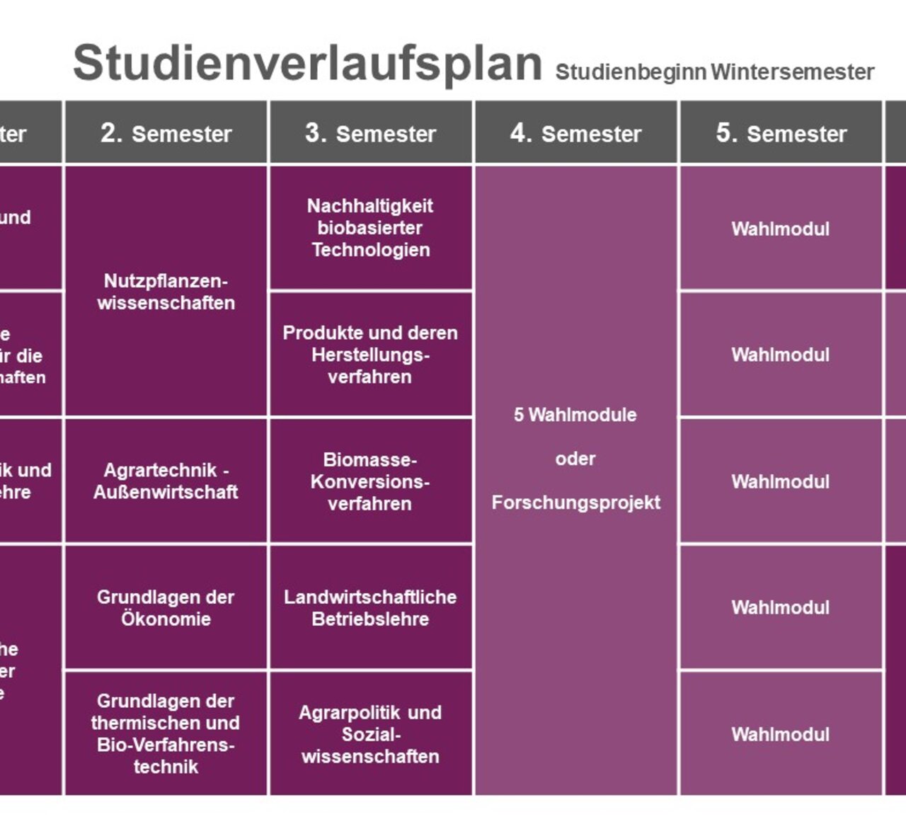 Infografik: Der Studienverlaufsplan zeigt Module für sechs Semester eines agrarwissenschaftlichen Studiengangs. Jedes Semester umfasst Module wie Mathematik, Physik, Nutzpflanzenwissenschaften und Wahlmodule. Im sechsten Semester sind ein Berufspraktikum und die Bachelorarbeit vorgesehen.