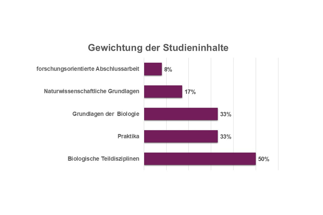 Infografik: Ein Balkendiagramm zeigt die Gewichtung der Studieninhalte. Profilbereich & Bachelorarbeit 40%, Wirtschaftswissenschaften 20%, Methodische Grundlagen 17%, Sustainability & Change 13%, Sozialwissenschaften 10%.