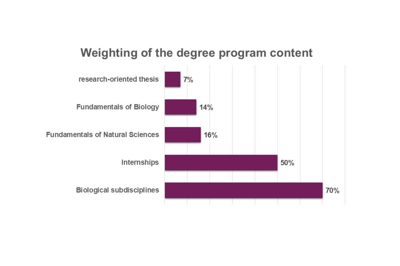 Englischsprachige Infografik: Balkendiagramm zeigt die Gewichtung der Studieninhalte. Kategorien: Sustainability & Change 13%, Wirtschaftswissenschaften 20%, Sozialwissenschaften 10%, Methodische Grundlagen 17%, Profilbereich & Bachelorarbeit 40%. Titel: "Gewichtung der Studieninhalte".