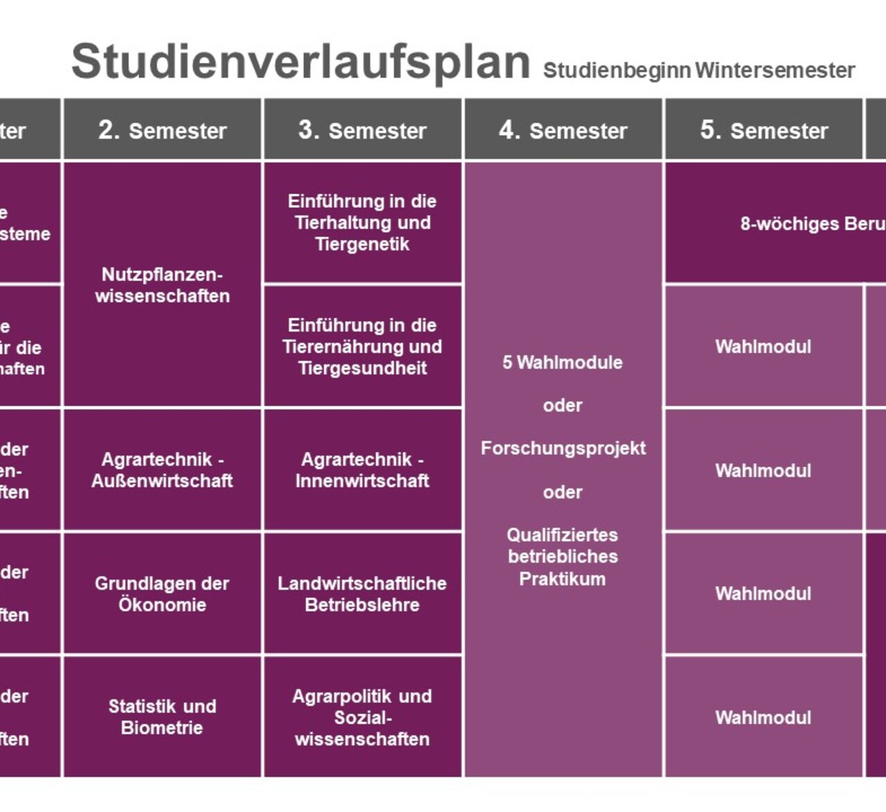 Infografik: Der Studienverlaufsplan für Agrarwissenschaften zeigt Module für jedes Semester. Im 1. Semester: Agrarische Produktionssysteme, Chemische Grundlagen, Grundlagen der Nutzpflanzenwissenschaften, Nutzierwissenschaften, Bodenwissenschaften. Weitere Semester umfassen Tierhaltung, Tierernährung, Wahlmodule und Praktikum.