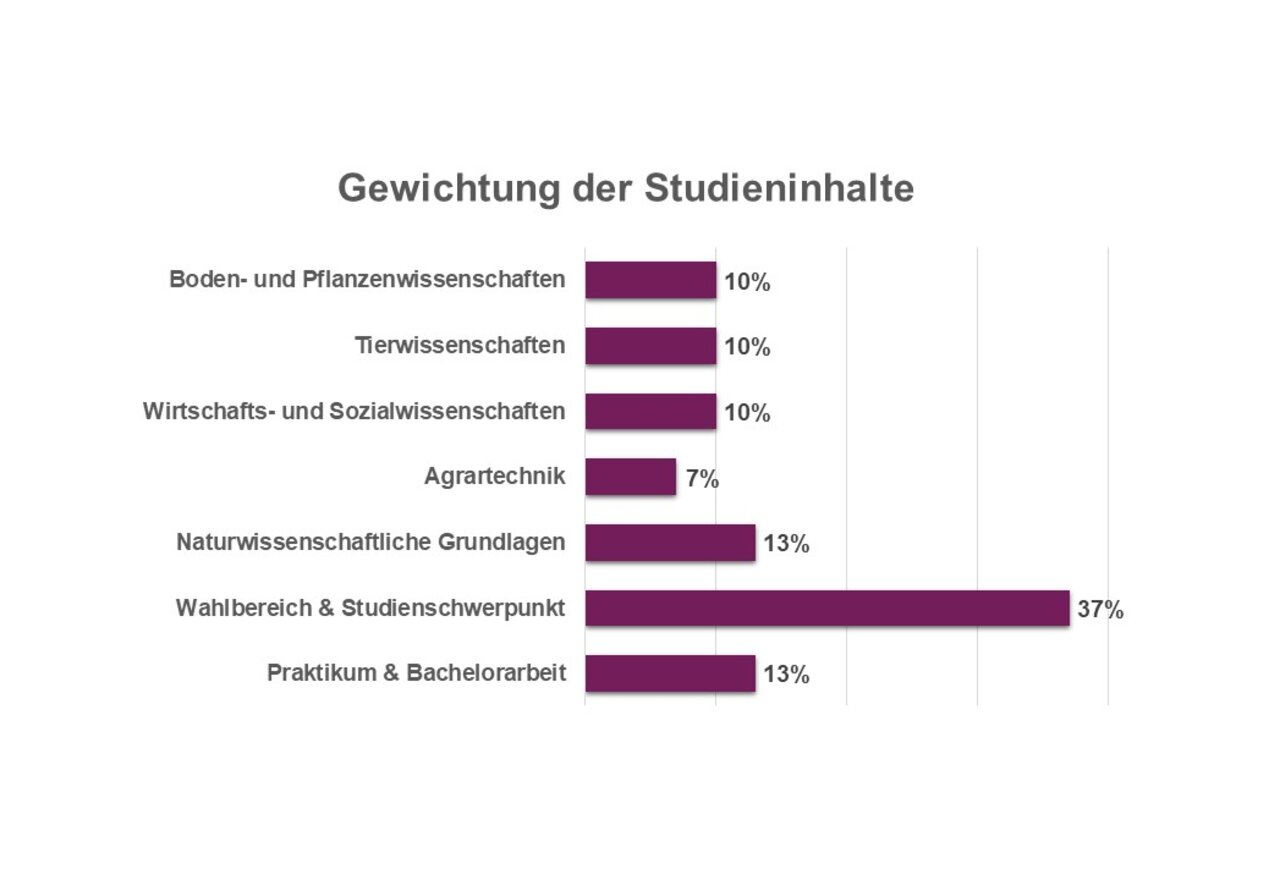 Infografik: Eine Balkendiagramm zeigt die Gewichtung der Studieninhalte. Boden- und Pflanzenwissenschaften 10%, Tierwissenschaften 10%, Wirtschafts- und Sozialwissenschaften 10%, Agrartechnik 7%, Naturwissenschaftliche Grundlagen 13%, Wahlbereich & Studienschwerpunkt 37%, Praktikum & Bachelorarbeit 13%.