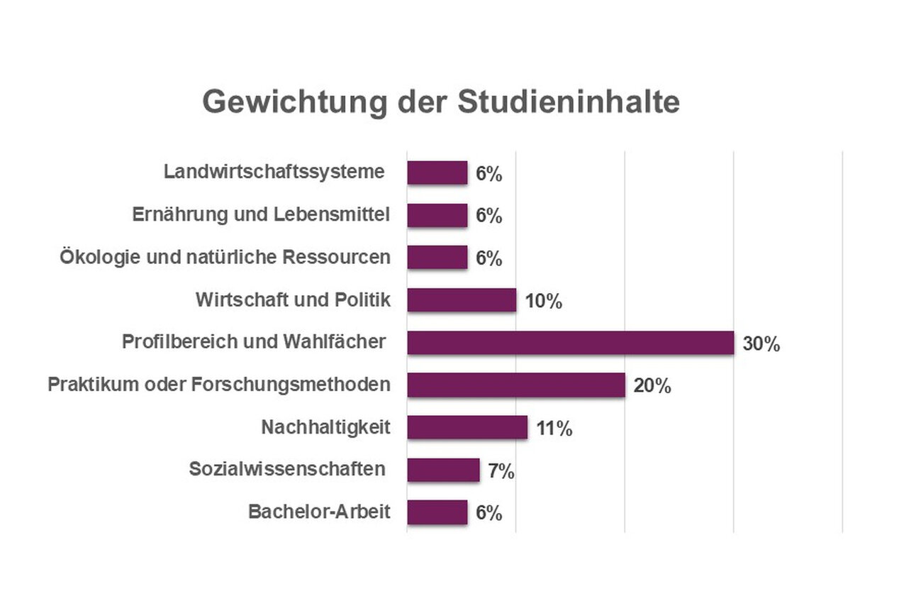 Infografik: Ein Balkendiagramm zeigt die Gewichtung der Studieninhalte. Profilbereich und Wahlfächer haben 30%, Praktikum oder Forschungsmethoden 20%, Nachhaltigkeit 11%, Wirtschaft und Politik 10%, Sozialwissenschaften 7%, Landwirtschaftssysteme, Ernährung und Lebensmittel, Ökologie und natürliche Ressourcen sowie Bachelor-Arbeit jeweils 6%.