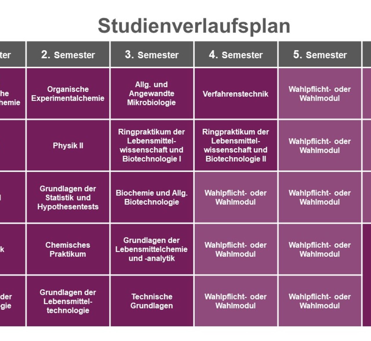 Infografik: Der Studienverlaufsplan zeigt Module über sechs Semester. Jedes Semester umfasst Fächer wie Chemie, Physik, Biologie und Wahlmodule. Im letzten Semester ist eine Bachelorarbeit vorgesehen. Jedes Fach hat 6 Credits.