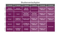 Infografik: Der Studienverlaufsplan zeigt Module über sechs Semester. Jedes Semester umfasst Fächer wie Chemie, Physik, Biologie und Wahlmodule. Im letzten Semester ist eine Bachelorarbeit vorgesehen. Jedes Fach hat 6 Credits.