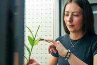 Foto: Eine Person hält eine Pflanze mit einer Raupe auf einem Blatt. Die Person zeigt mit dem Finger auf die Raupe. Der Hintergrund ist neutral und punktiert.