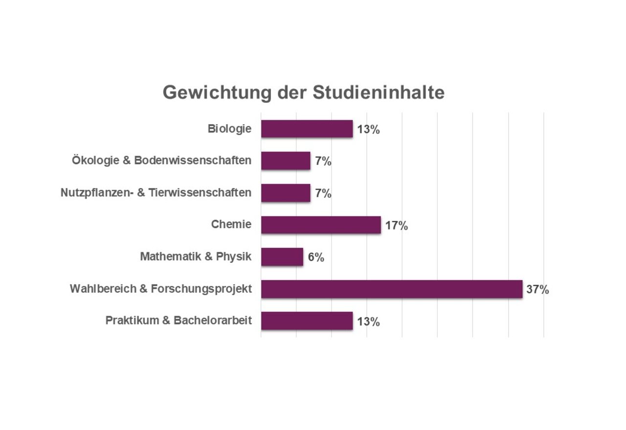 Infografik: Balkendiagramm zeigt die Gewichtung der Studieninhalte. Biologie 13%, Ökologie & Bodenwissenschaften 7%, Nutzpflanzen- & Tierwissenschaften 7%, Chemie 17%, Mathematik & Physik 6%, Wahlbereich & Forschungsprojekt 37%, Praktikum & Bachelorarbeit 13%.